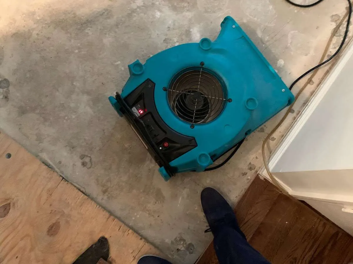 Air mover drying subfloor during Leak Detection & Repair in East Rutherford